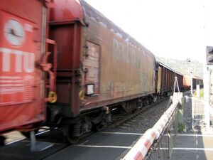 SPD-Loreley: Belastungen durch die Bahn müssen reduziert werden.
